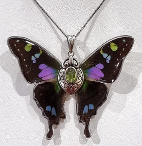 The Flight of Fancy 💜💚🦋🧚‍♀️