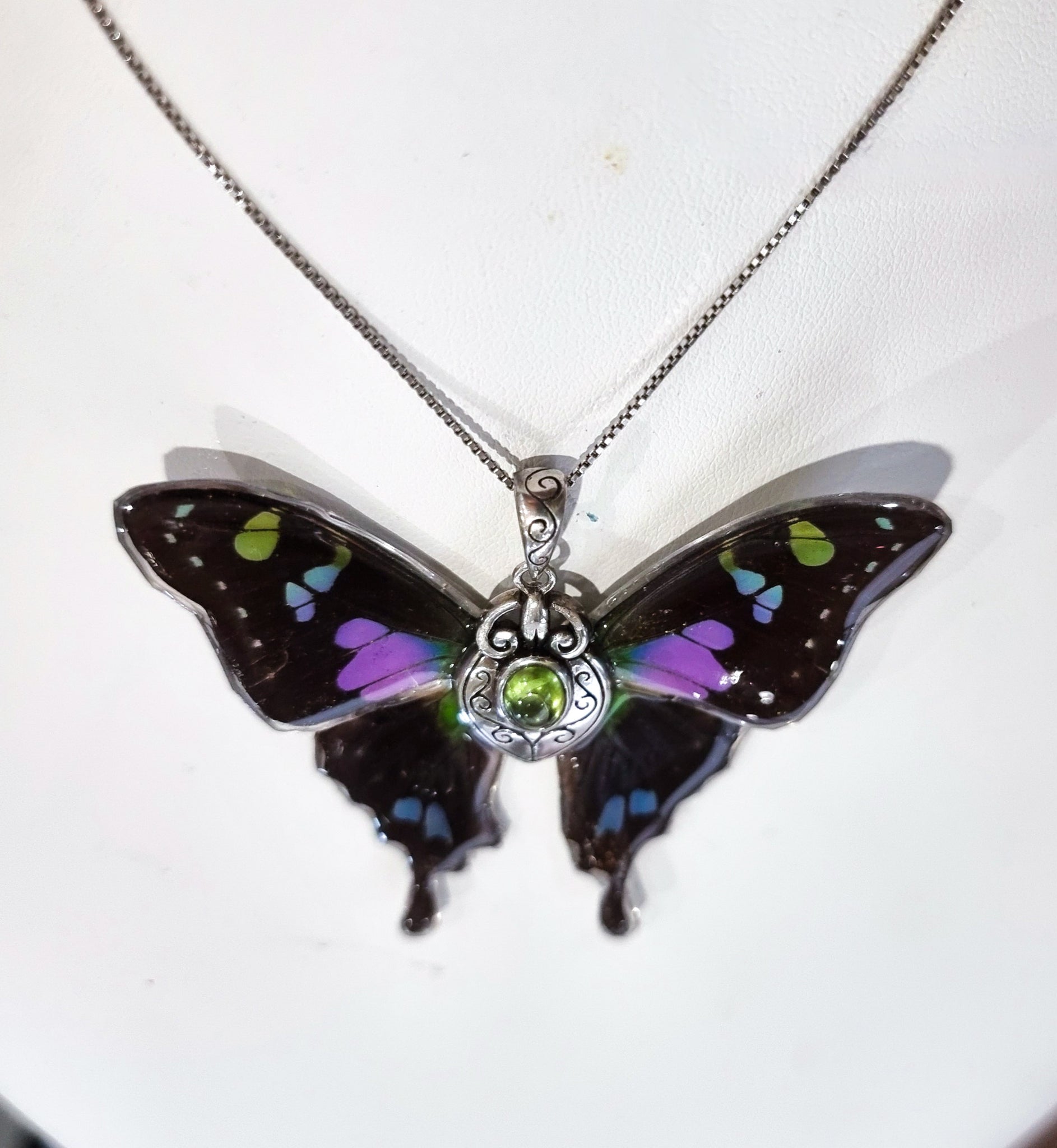 The Flight of Fancy 💜💚🦋🧚‍♀️
