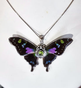 The Flight of Fancy 💜💚🦋🧚‍♀️