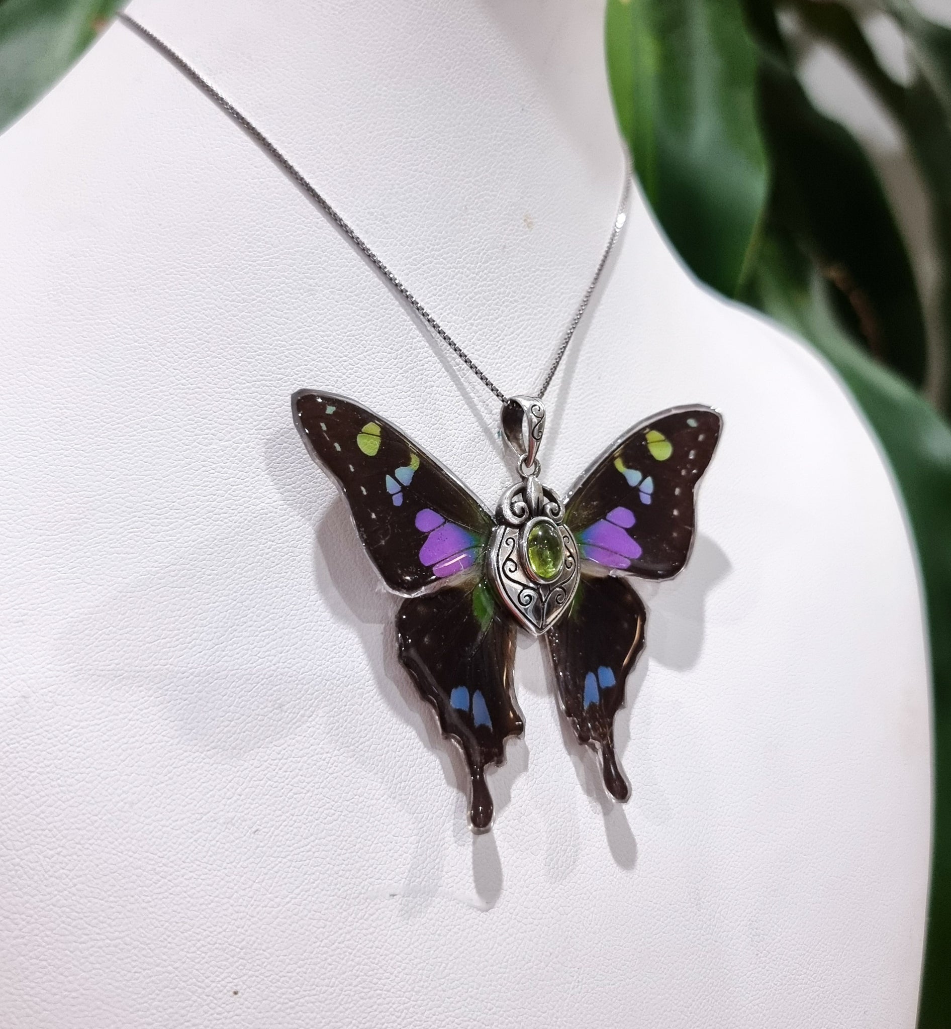 The Flight of Fancy 💜💚🦋🧚‍♀️
