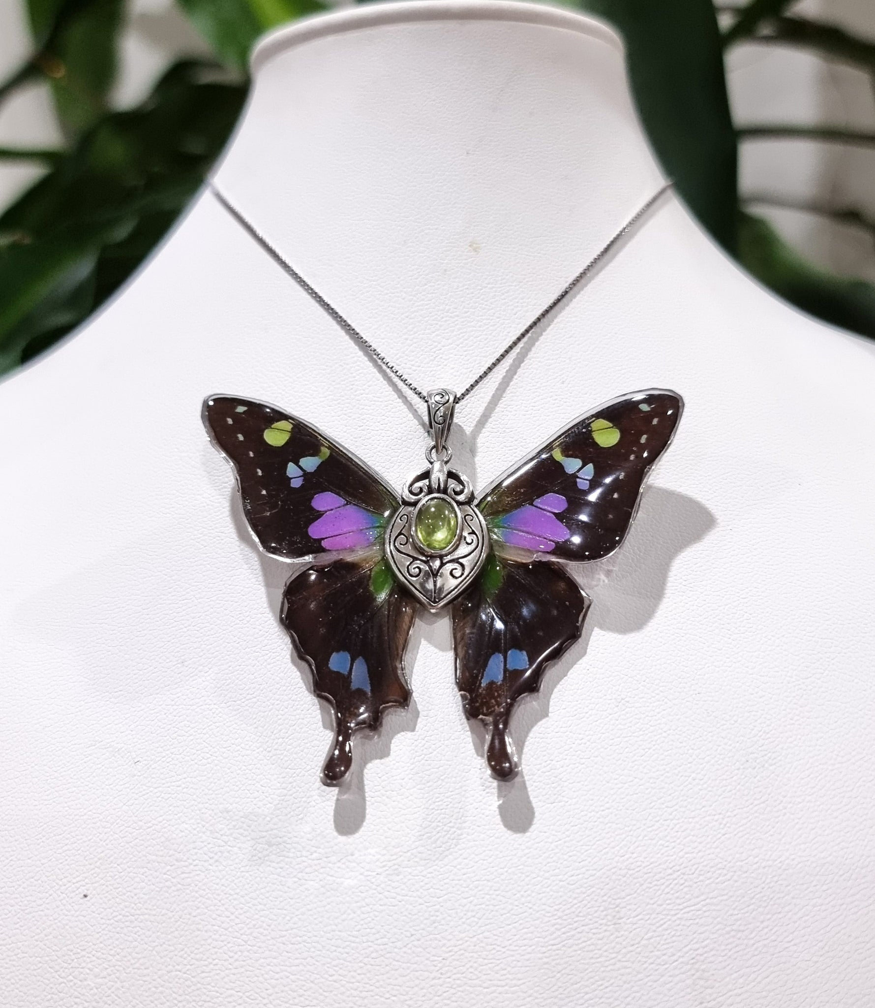 The Flight of Fancy 💜💚🦋🧚‍♀️