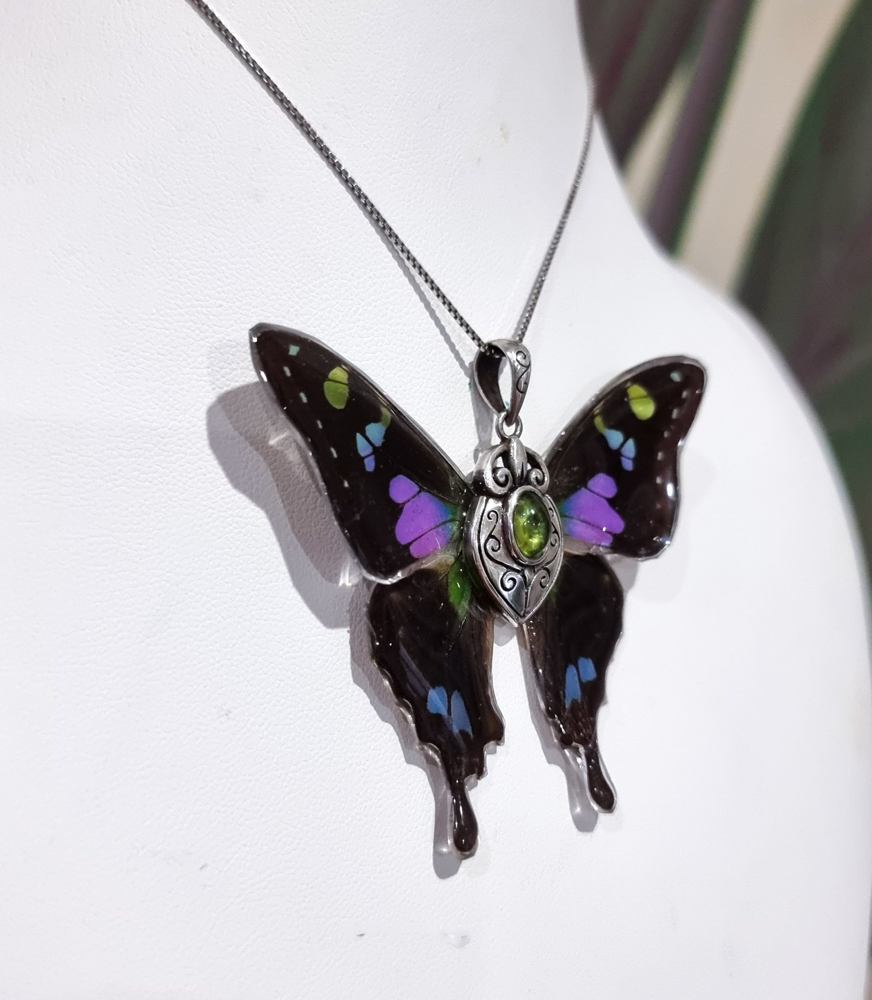 The Flight of Fancy 💜💚🦋🧚‍♀️