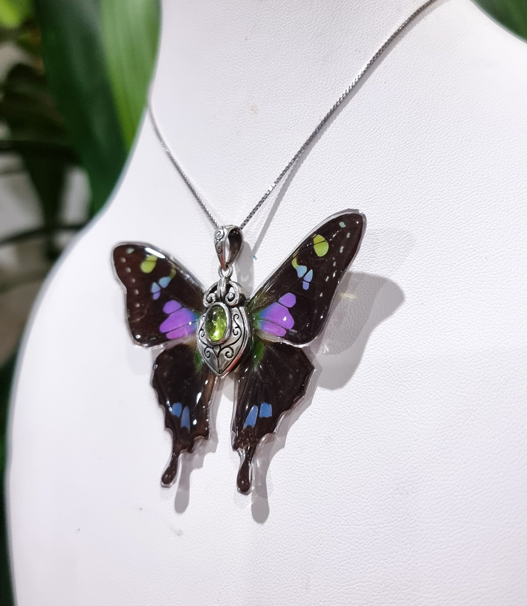 The Flight of Fancy 💜💚🦋🧚‍♀️
