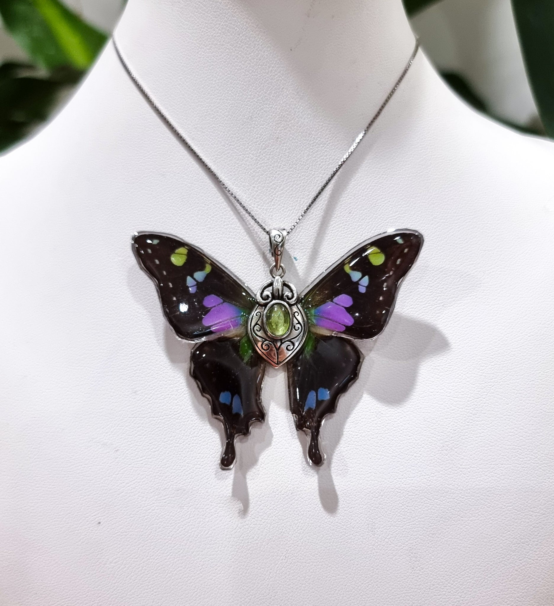 The Flight of Fancy 💜💚🦋🧚‍♀️