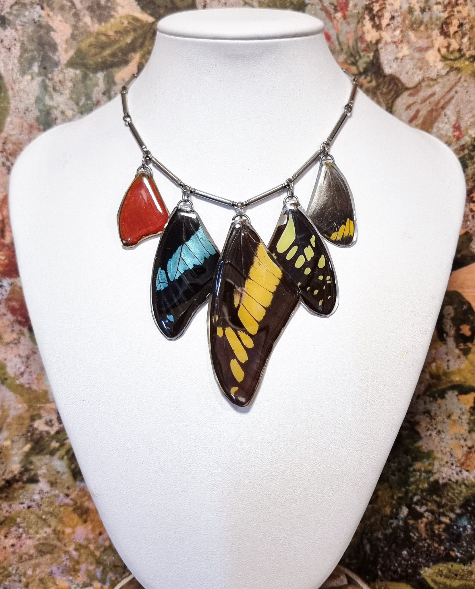 The Colour Cascade 🦋🩷❤️💚🩵🖤