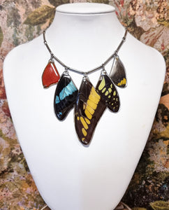 The Colour Cascade 🦋🩷❤️💚🩵🖤