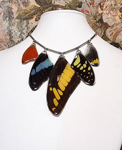 The Colour Cascade 🦋🩷❤️💚🩵🖤