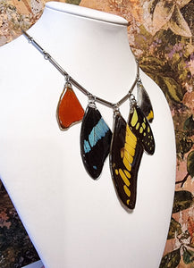 The Colour Cascade 🦋🩷❤️💚🩵🖤