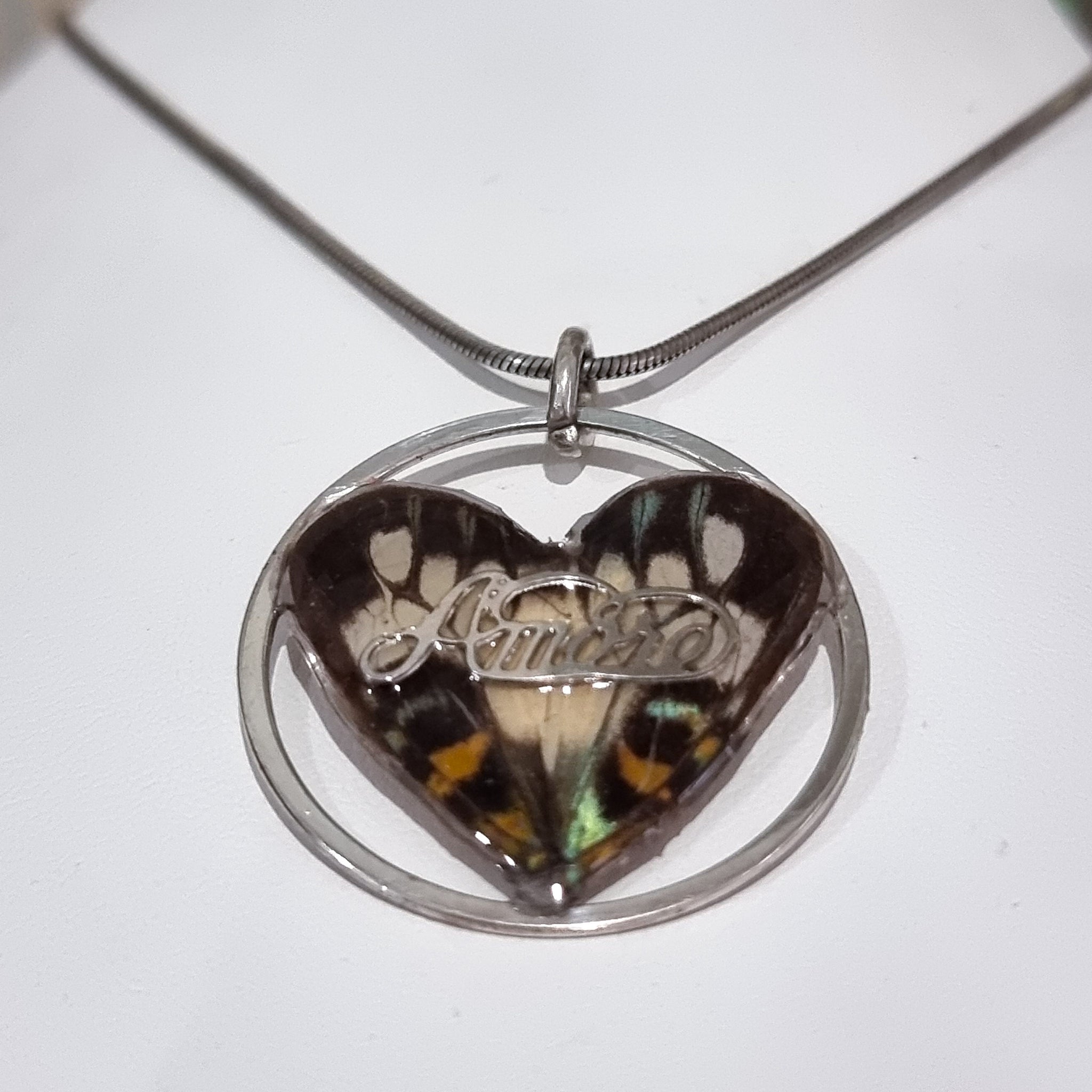 The Circle of Love 🦋❤️