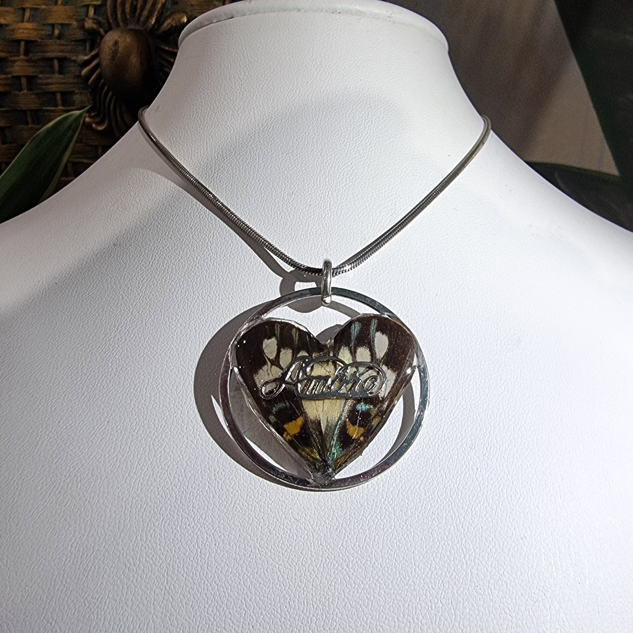 The Circle of Love 🦋❤️