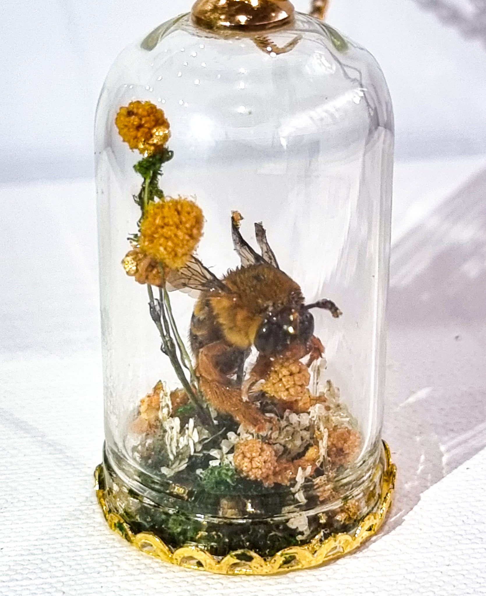 The Golden Bumbelina 🐝🌿💛🌼