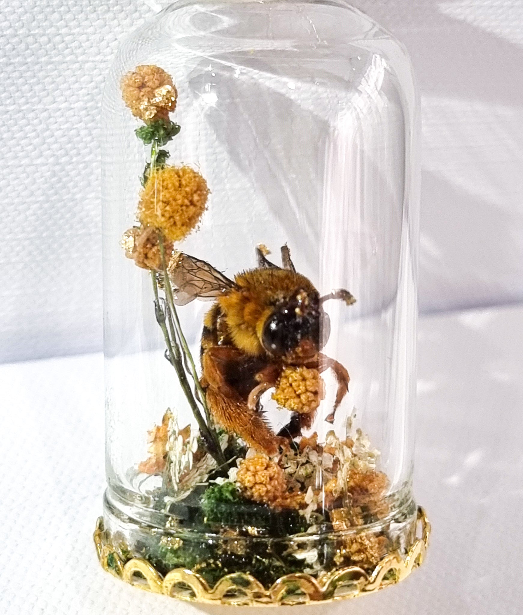 The Golden Bumbelina 🐝🌿💛🌼