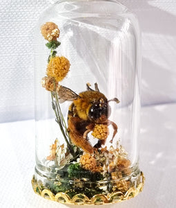 The Golden Bumbelina 🐝🌿💛🌼