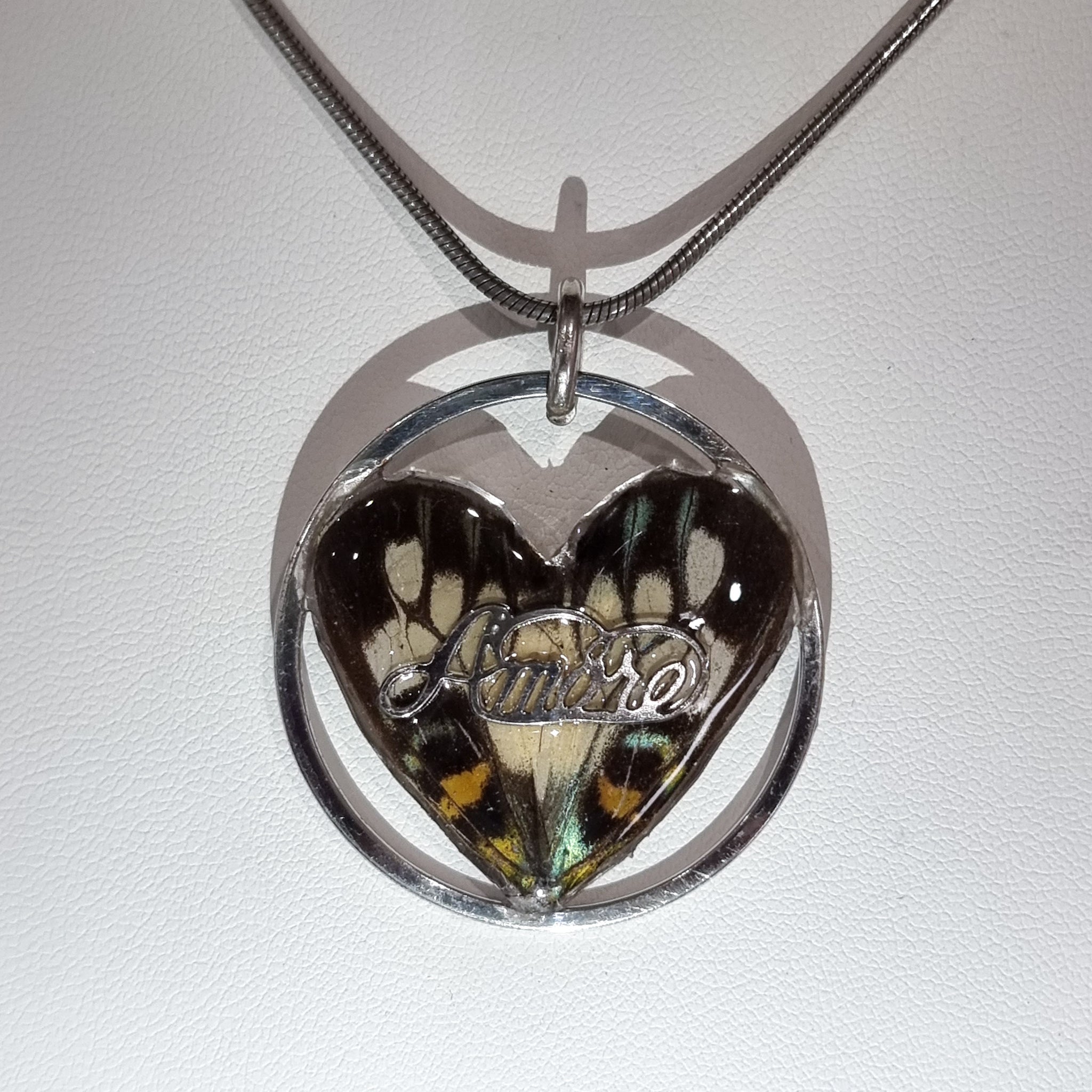 The Circle of Love 🦋❤️