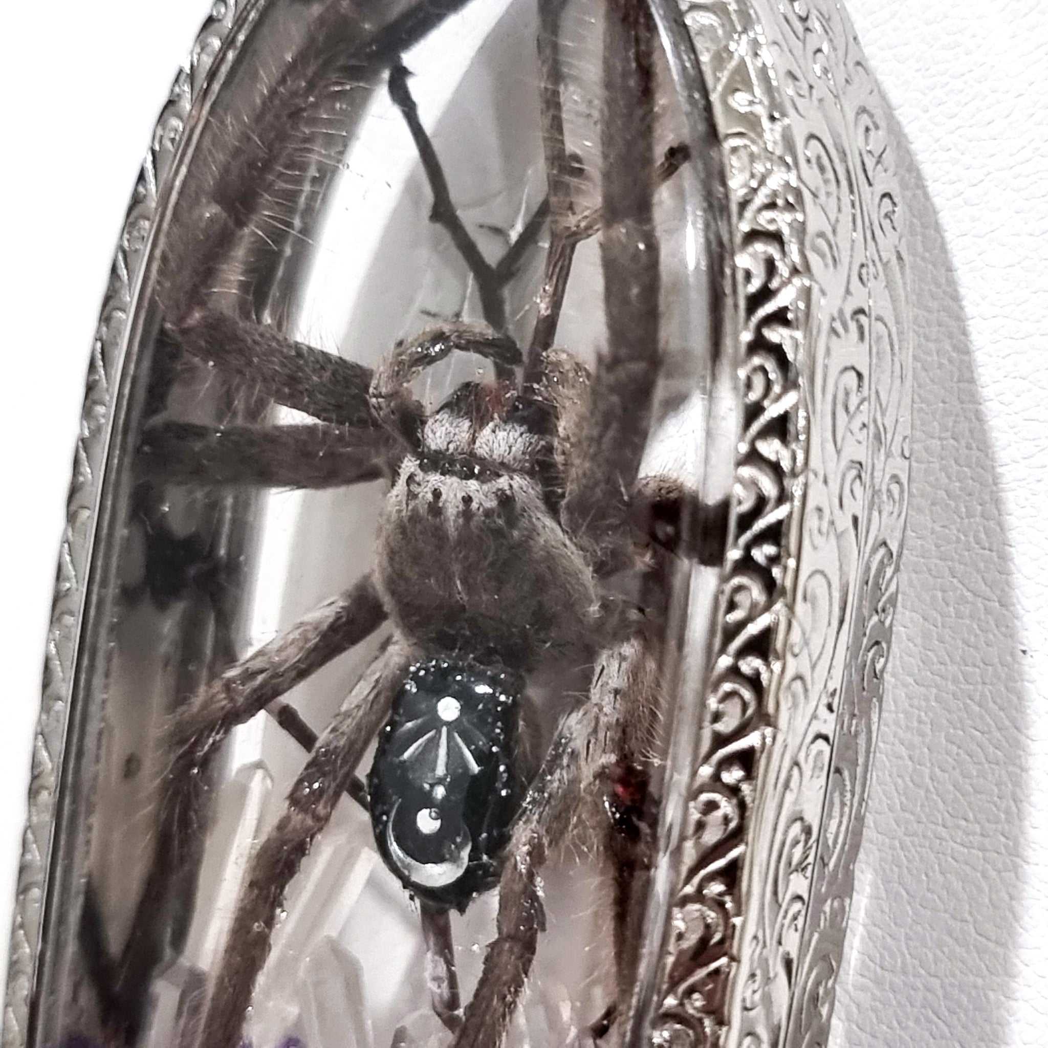 Aranthe's Enchantment  🕷💜🌜💫🪻