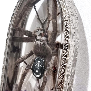 Aranthe's Enchantment  🕷💜🌜💫🪻