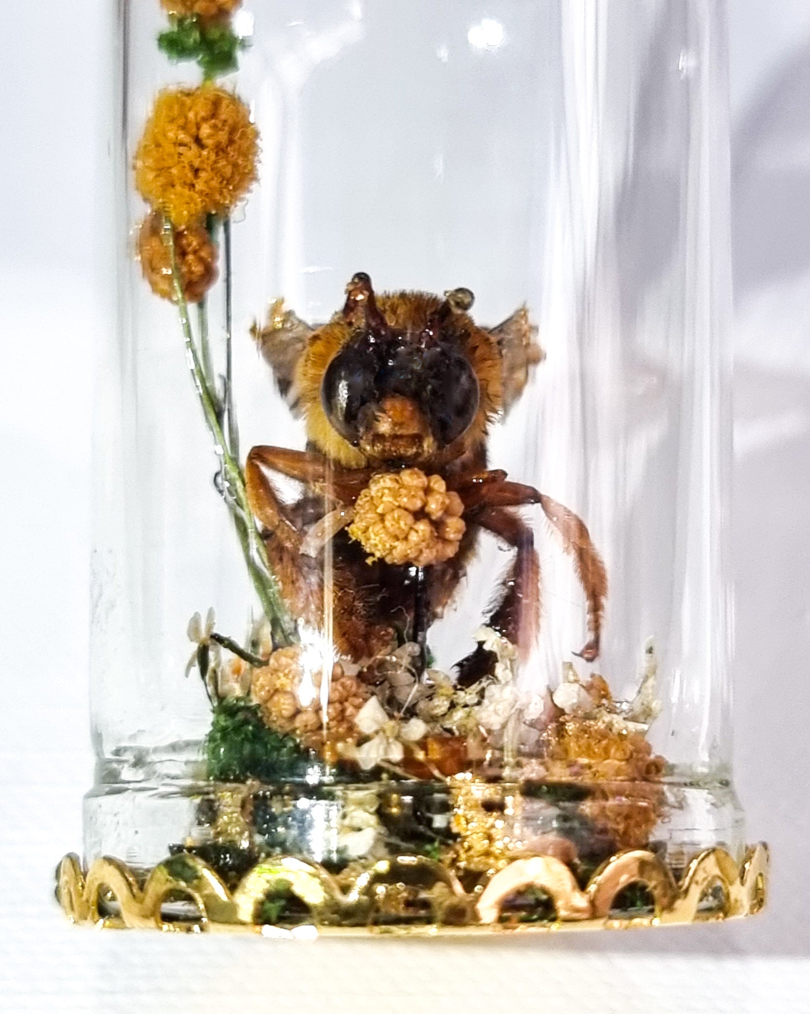 The Golden Bumbelina 🐝🌿💛🌼