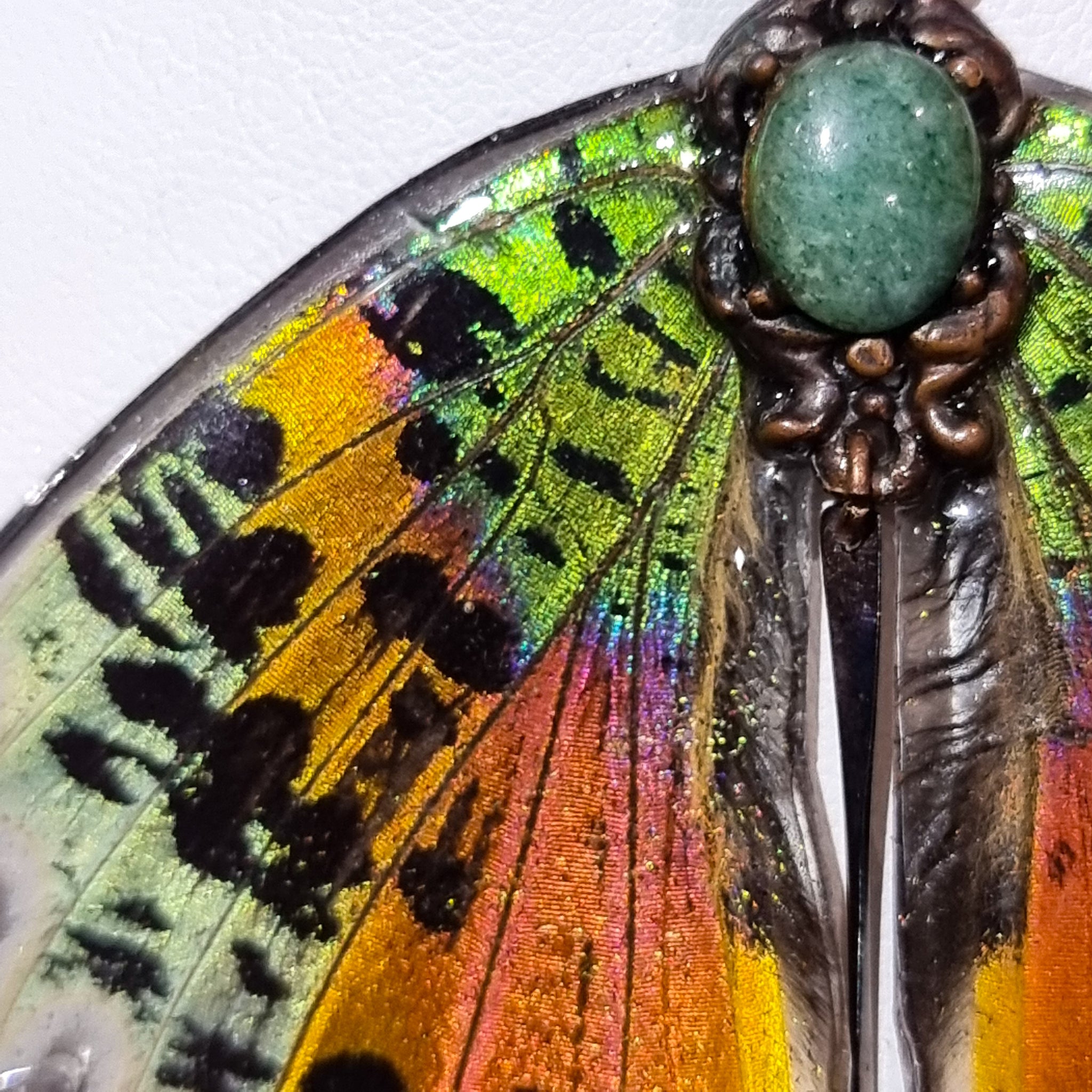 The Calypso Queen. 🦋💐❤️