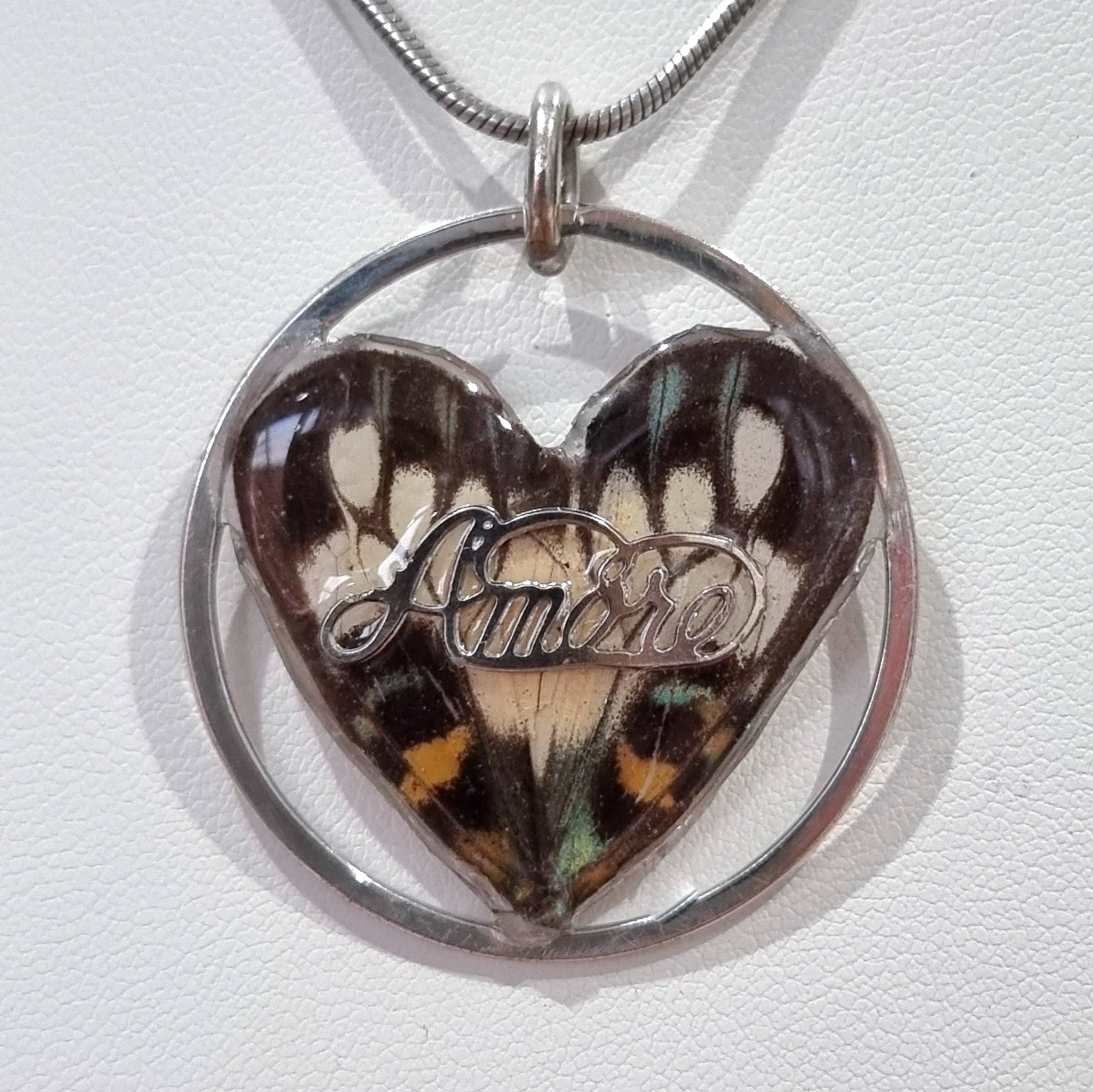 The Circle of Love 🦋❤️