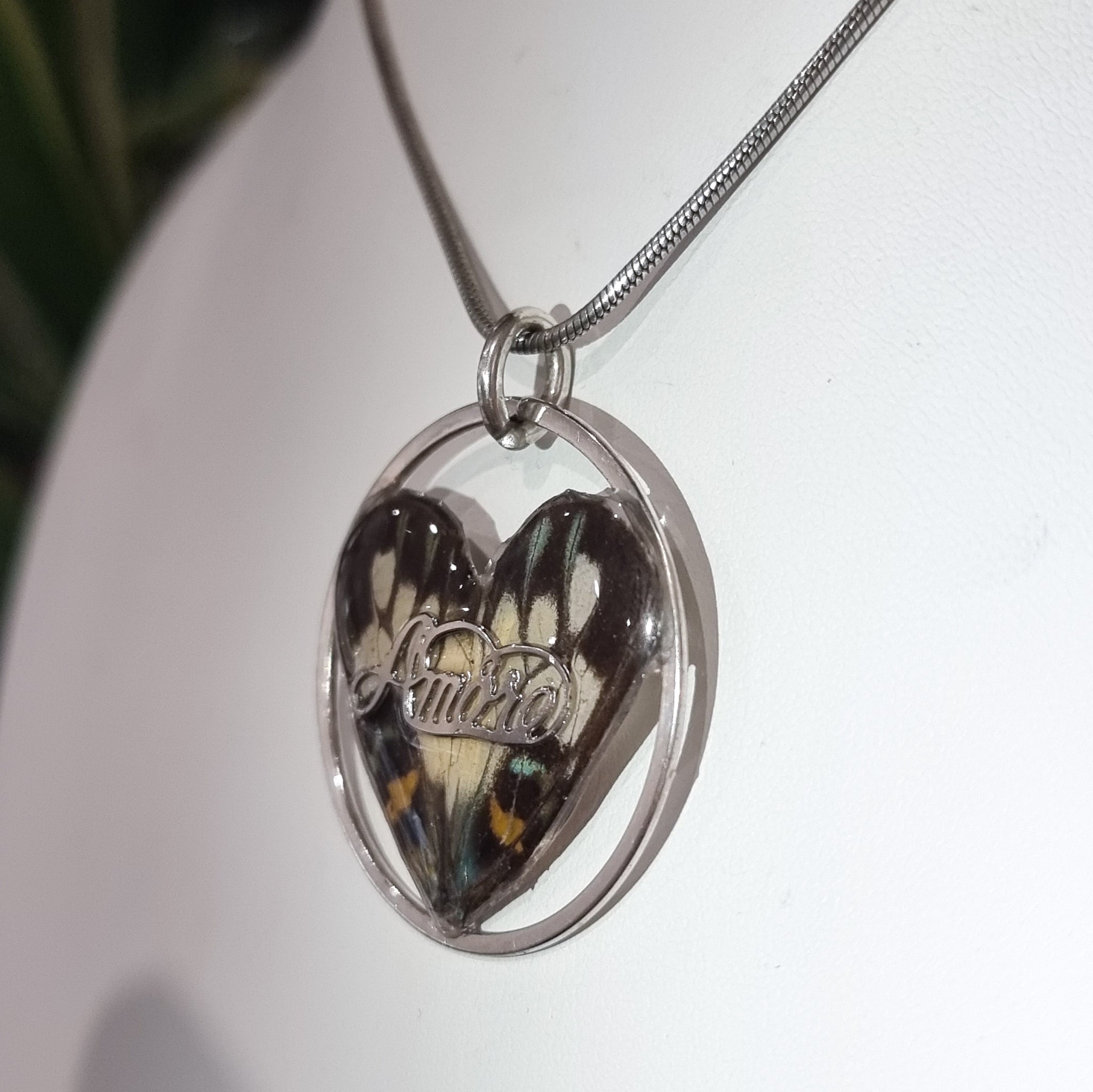 The Circle of Love 🦋❤️