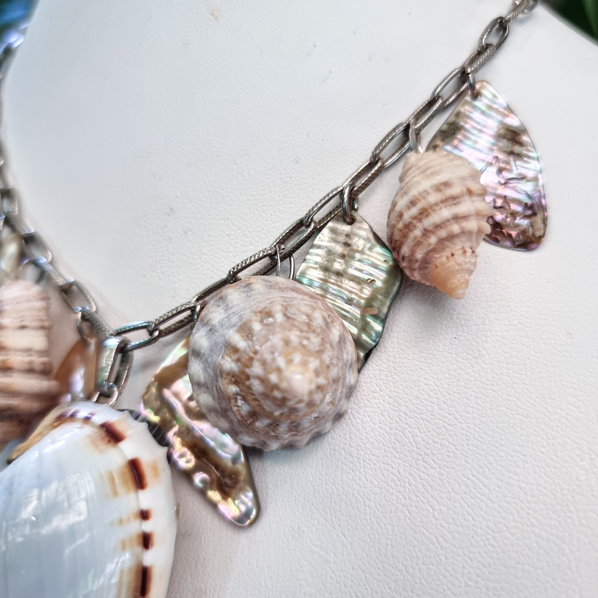 The Ocean Dream 🌊🐚🩵💫⭐️