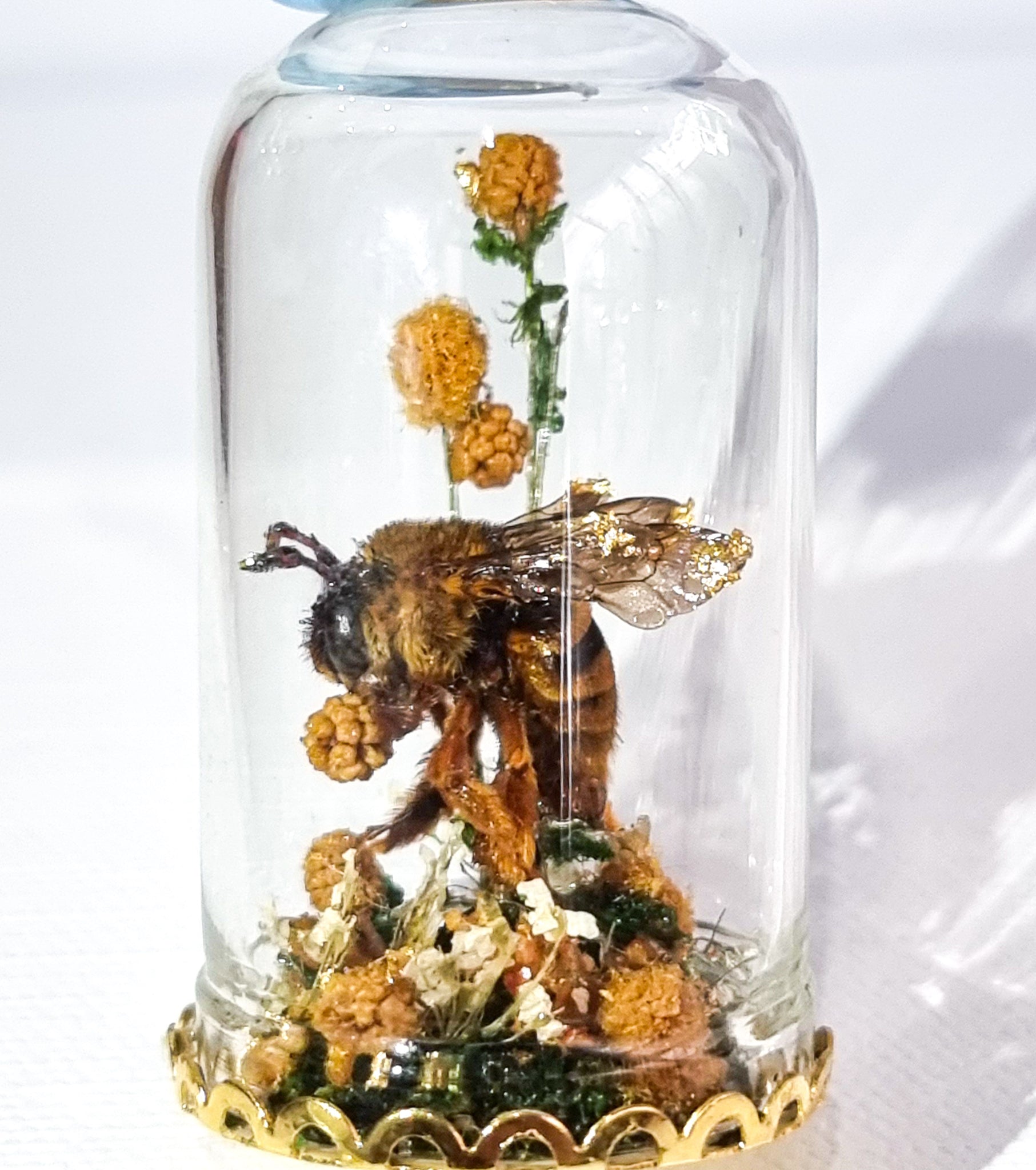 The Golden Bumbelina 🐝🌿💛🌼