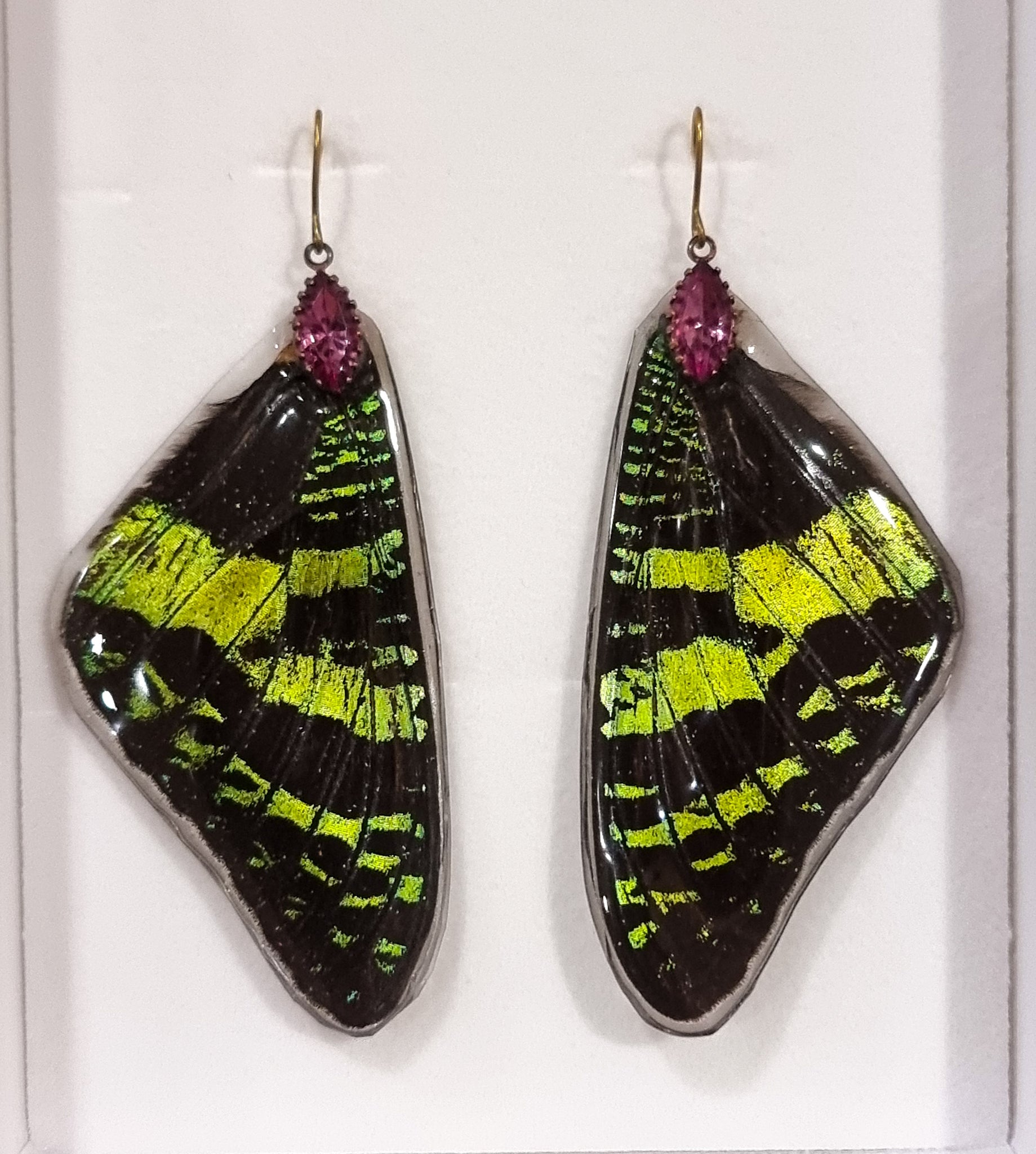 The Calypso Queen. 🦋💐❤️