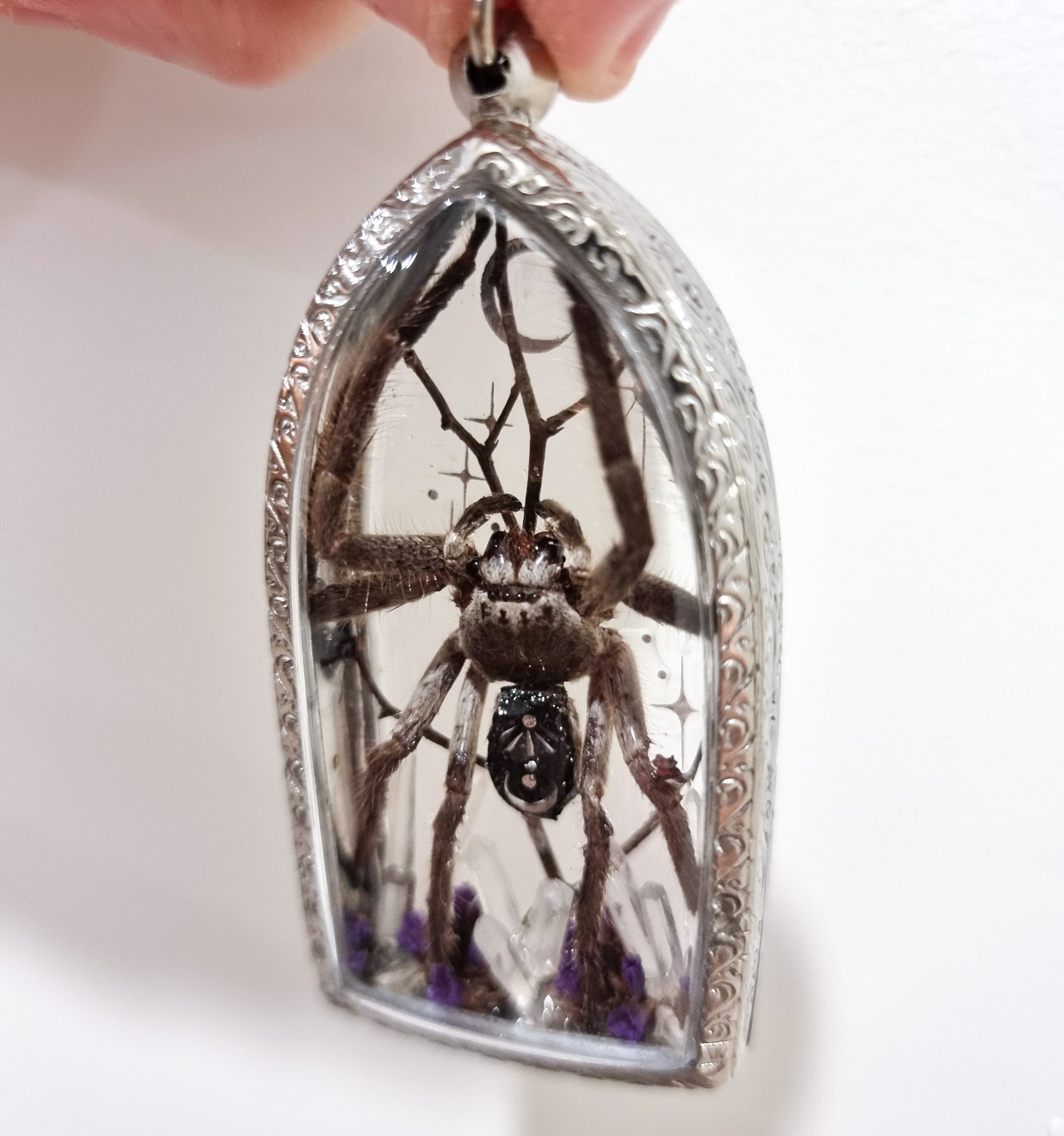 Aranthe's Enchantment  🕷💜🌜💫🪻