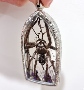 Aranthe's Enchantment  🕷💜🌜💫🪻