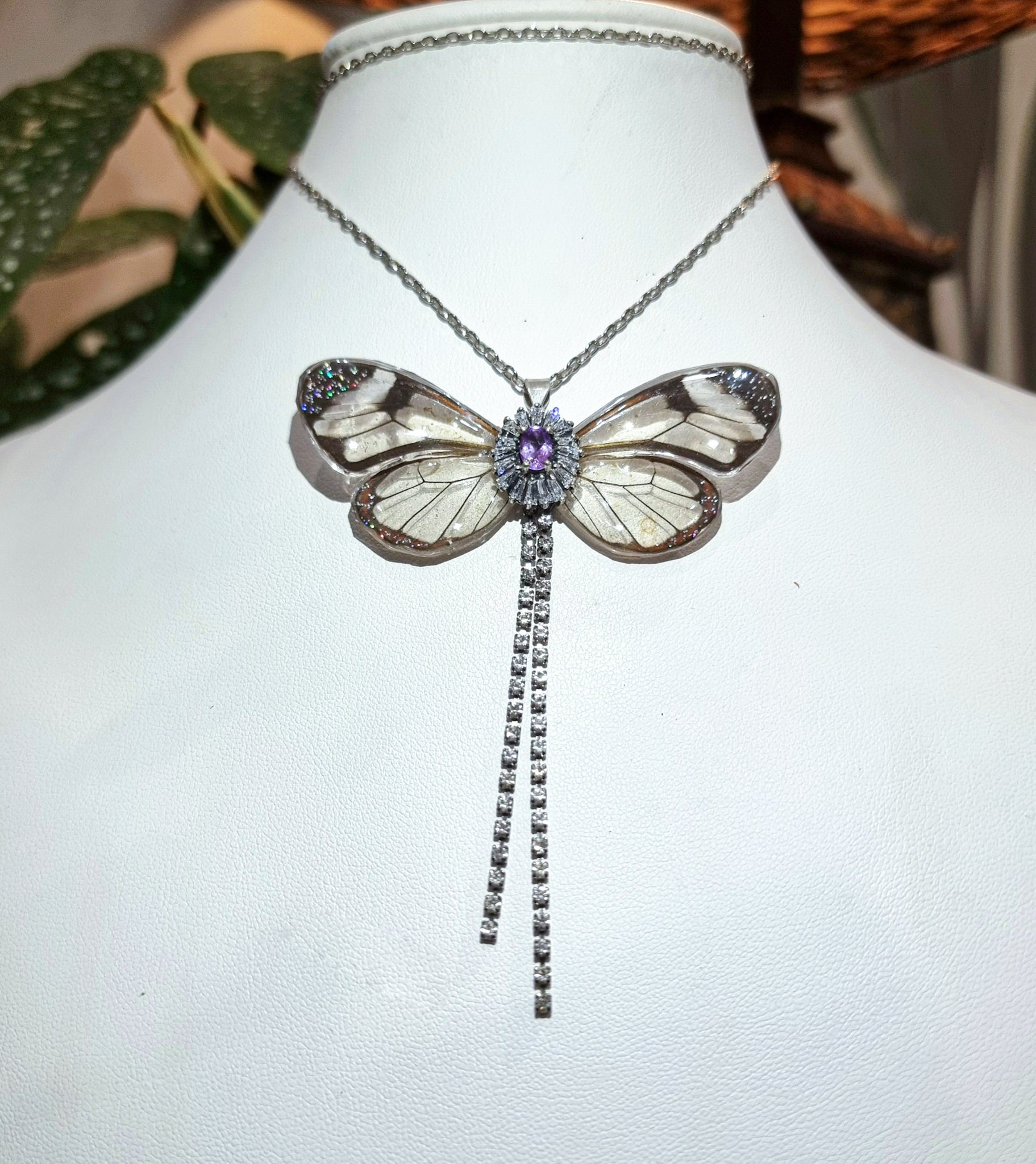 Wingdows to the World. 🫶✨️🧚‍♀️💜
