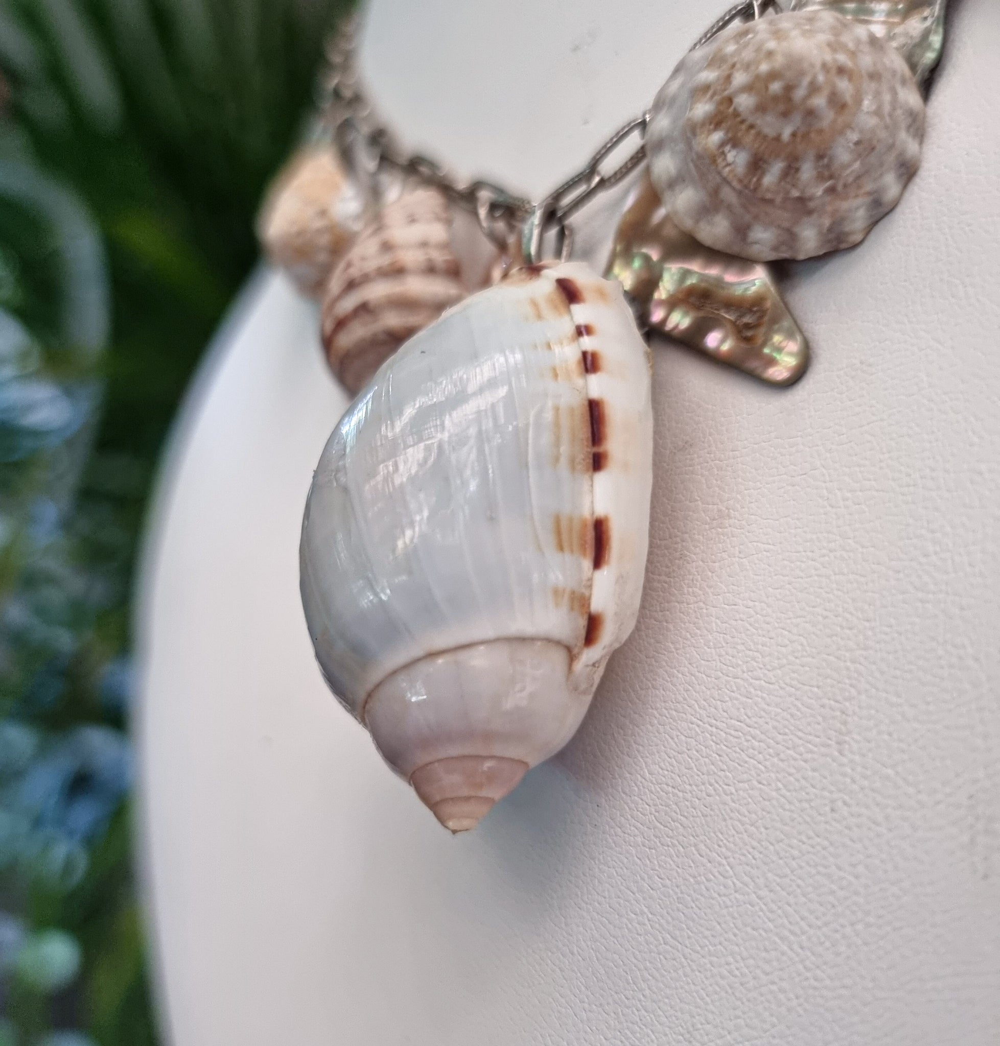 The Ocean Dream 🌊🐚🩵💫⭐️