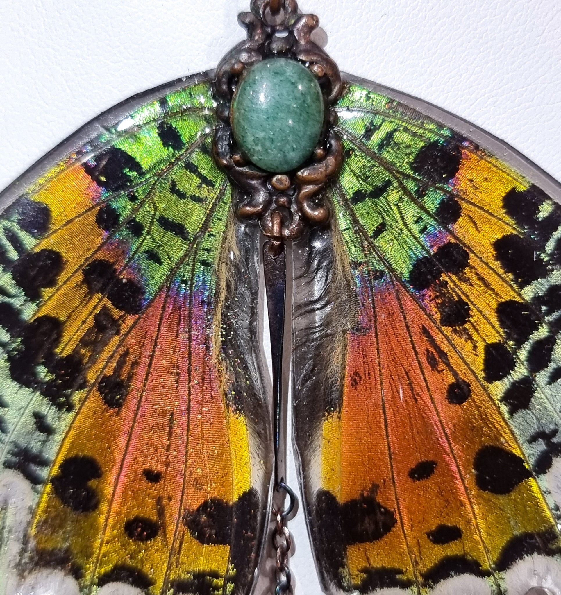 The Calypso Queen. 🦋💐❤️