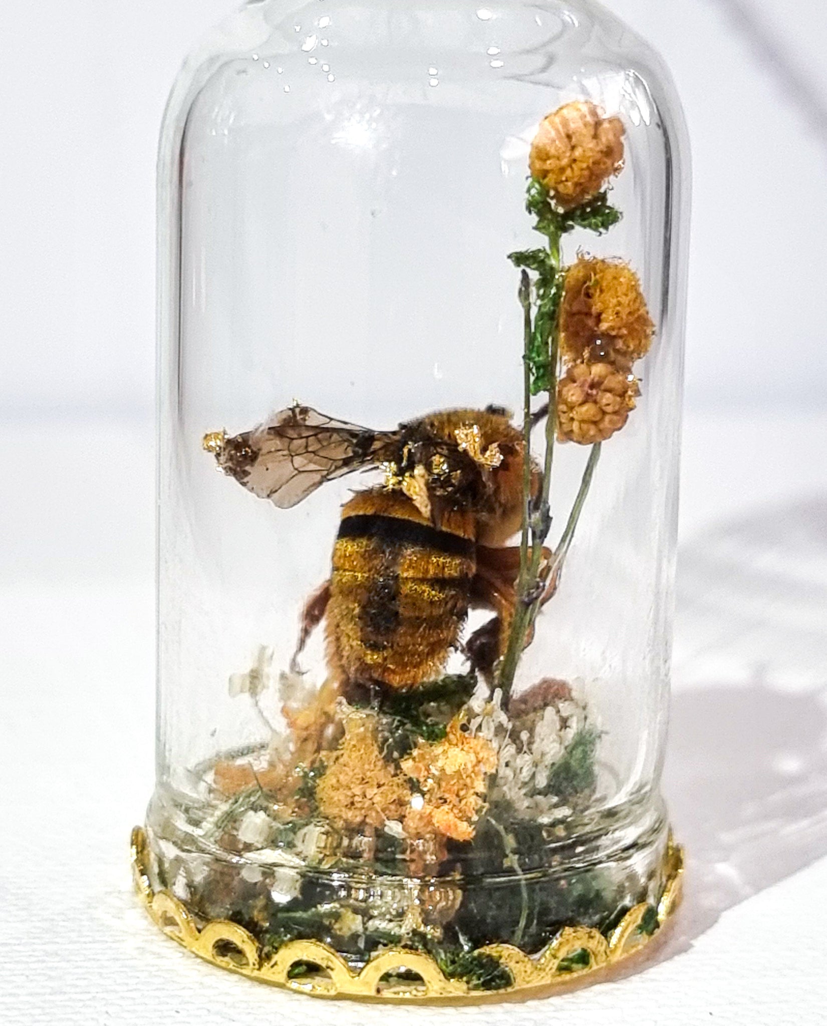 The Golden Bumbelina 🐝🌿💛🌼